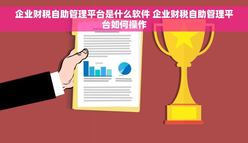 企业财税自助管理平台是什么软件 企业财税自助管理平台如何操作