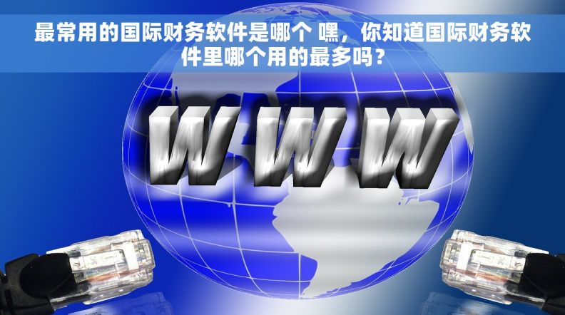 最常用的国际财务软件是哪个 嘿，你知道国际财务软件里哪个用的最多吗？