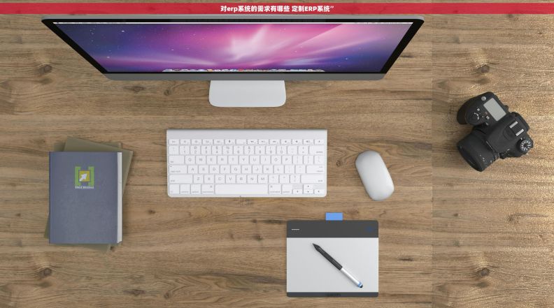 对erp系统的需求有哪些 定制ERP系统”