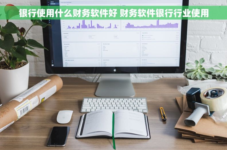 银行使用什么财务软件好 财务软件银行行业使用