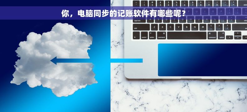 你，电脑同步的记账软件有哪些呢？