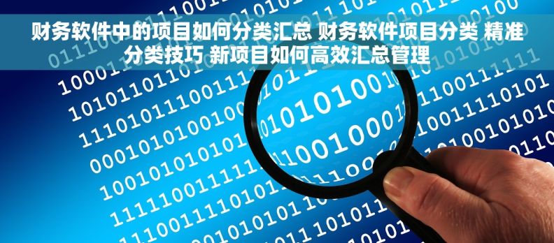 财务软件中的项目如何分类汇总 财务软件项目分类 精准分类技巧 新项目如何高效汇总管理