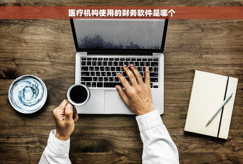 医疗机构使用的财务软件是哪个