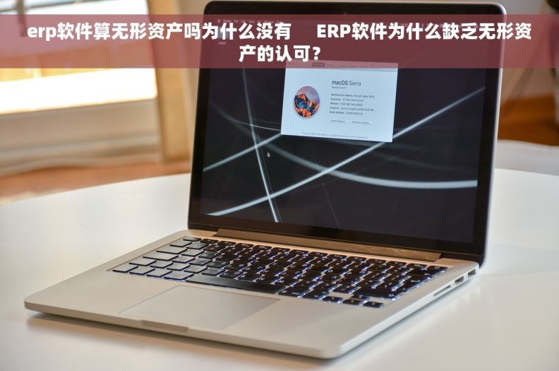 erp软件算无形资产吗为什么没有     ERP软件为什么缺乏无形资产的认可？