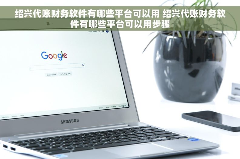 绍兴代账财务软件有哪些平台可以用 绍兴代账财务软件有哪些平台可以用步骤