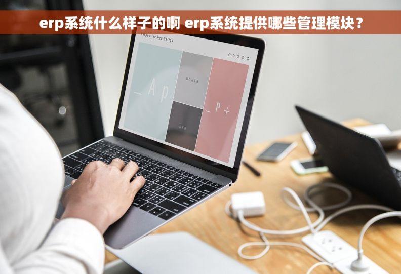 erp系统什么样子的啊 erp系统提供哪些管理模块？
