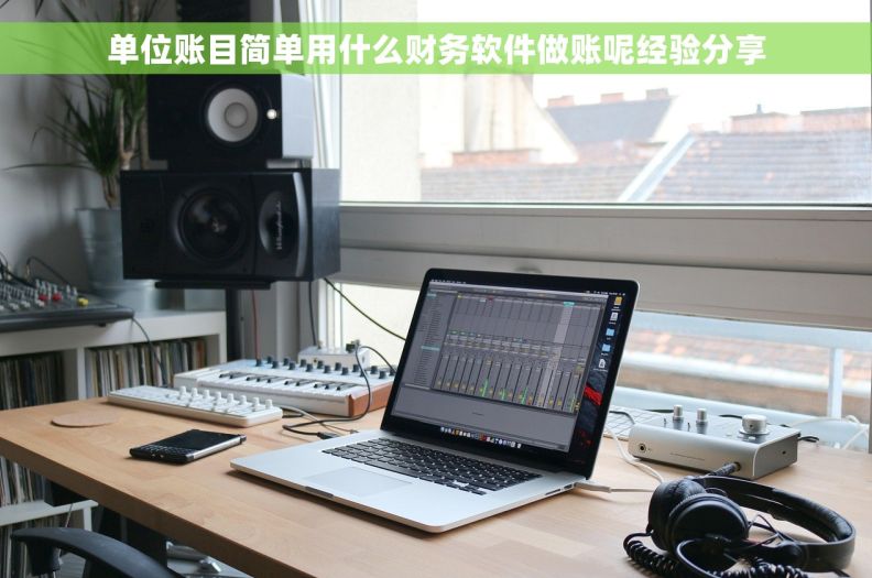 单位账目简单用什么财务软件做账呢经验分享