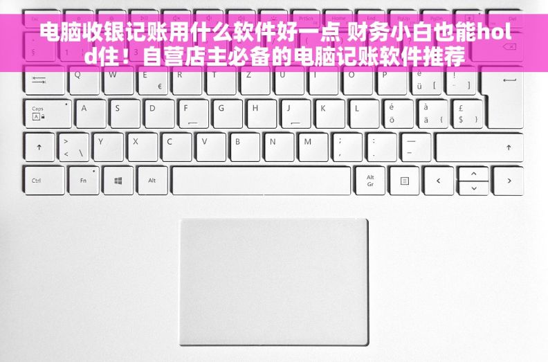 电脑收银记账用什么软件好一点 财务小白也能hold住！自营店主必备的电脑记账软件推荐