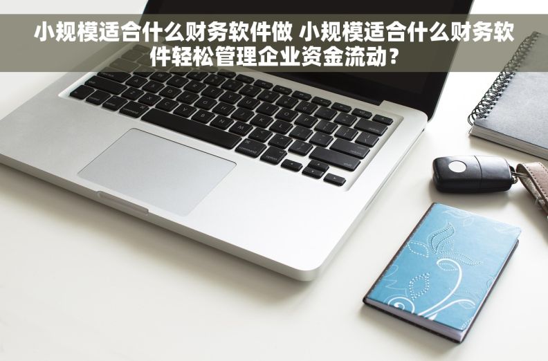 小规模适合什么财务软件做 小规模适合什么财务软件轻松管理企业资金流动？
