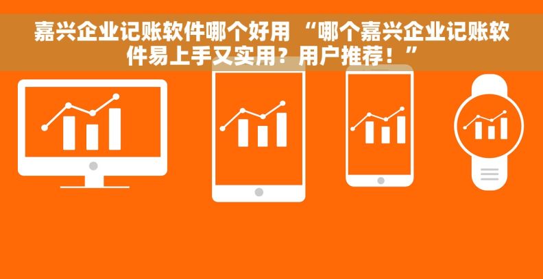 嘉兴企业记账软件哪个好用 “哪个嘉兴企业记账软件易上手又实用？用户推荐！”