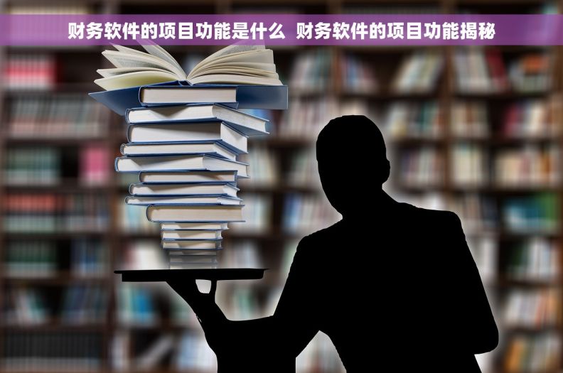 财务软件的项目功能是什么  财务软件的项目功能揭秘