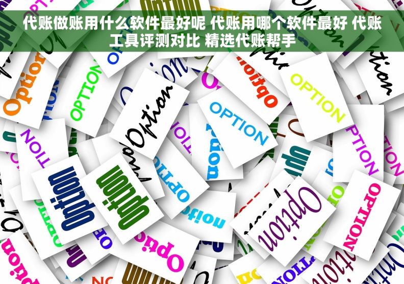 代账做账用什么软件最好呢 代账用哪个软件最好 代账工具评测对比 精选代账帮手