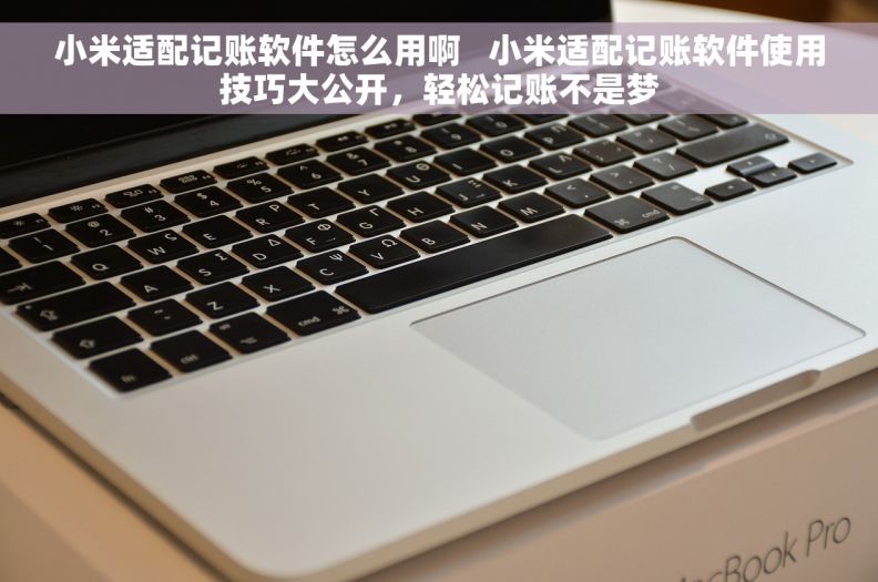 小米适配记账软件怎么用啊   小米适配记账软件使用技巧大公开，轻松记账不是梦