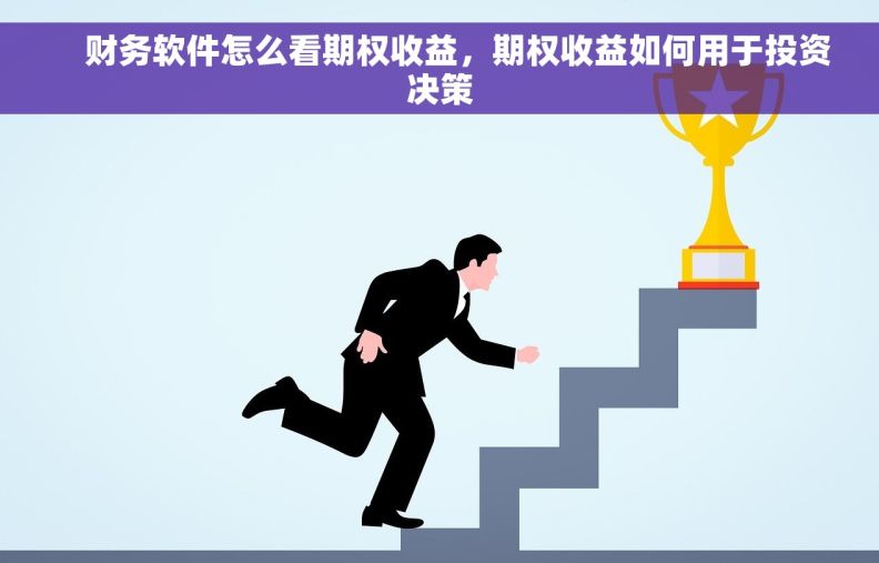     财务软件怎么看期权收益，期权收益如何用于投资决策