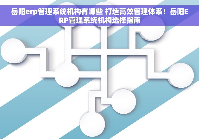 岳阳erp管理系统机构有哪些 打造高效管理体系！岳阳ERP管理系统机构选择指南