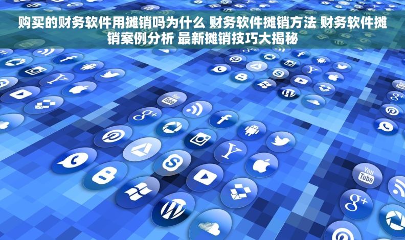 购买的财务软件用摊销吗为什么 财务软件摊销方法 财务软件摊销案例分析 最新摊销技巧大揭秘