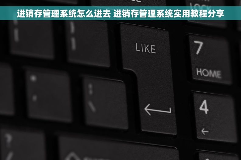 进销存管理系统怎么进去 进销存管理系统实用教程分享