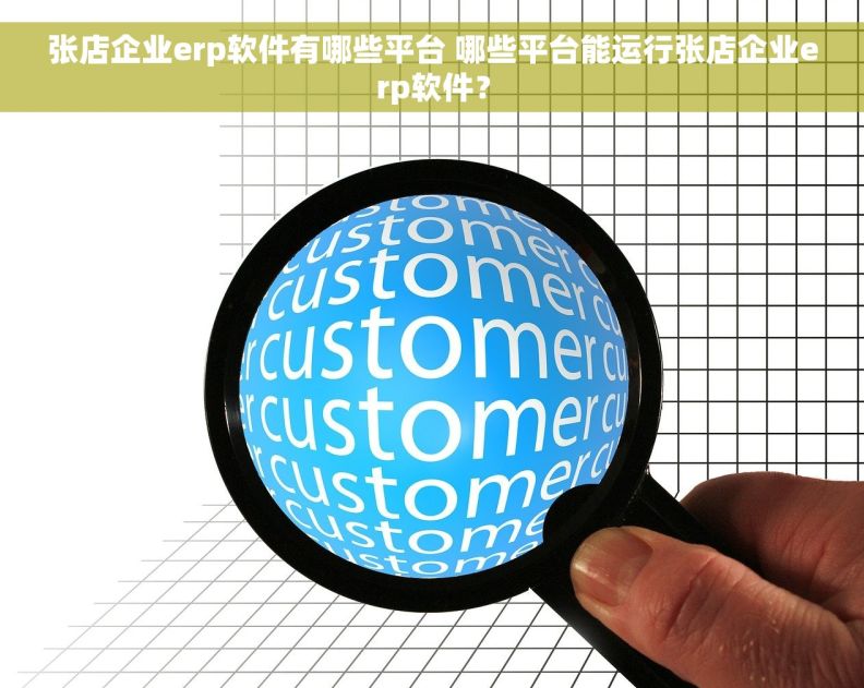 张店企业erp软件有哪些平台 哪些平台能运行张店企业erp软件？