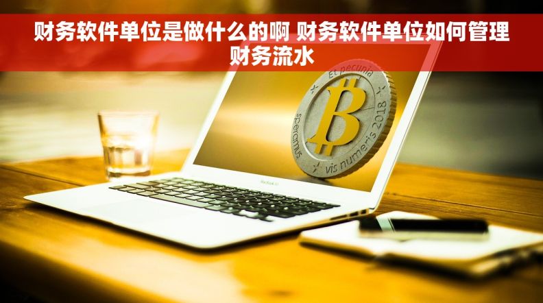 财务软件单位是做什么的啊 财务软件单位如何管理财务流水