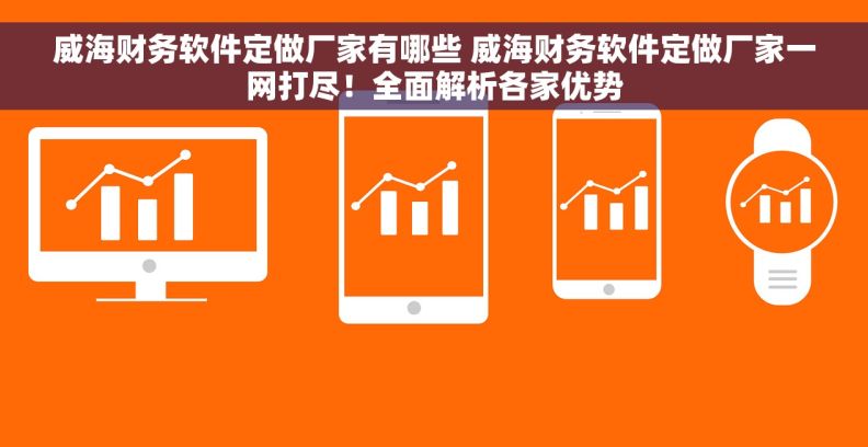 威海财务软件定做厂家有哪些 威海财务软件定做厂家一网打尽！全面解析各家优势