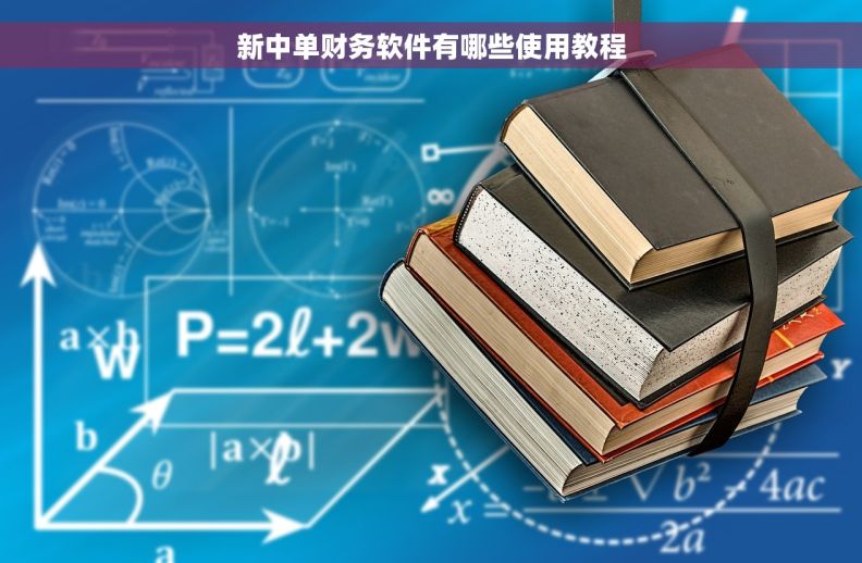 新中单财务软件有哪些使用教程