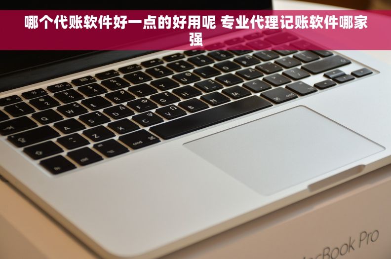 哪个代账软件好一点的好用呢 专业代理记账软件哪家强