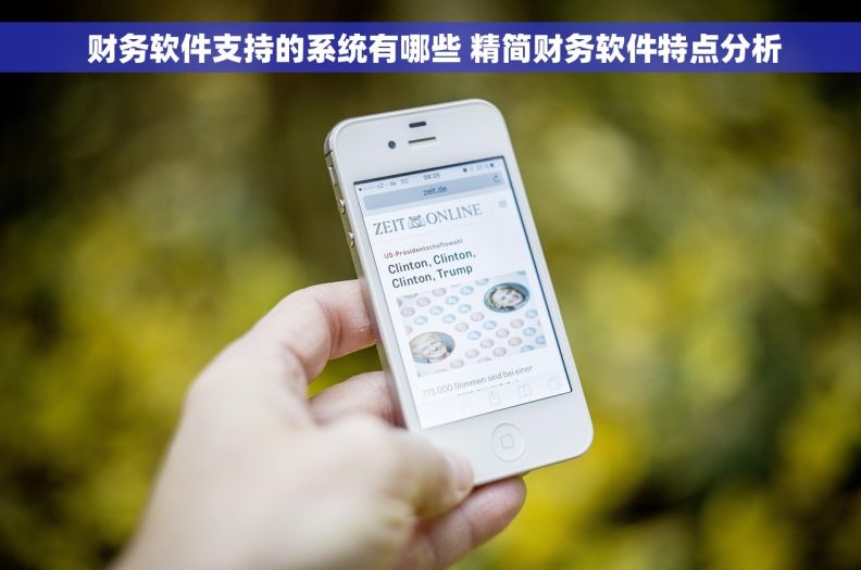  财务软件支持的系统有哪些 精简财务软件特点分析