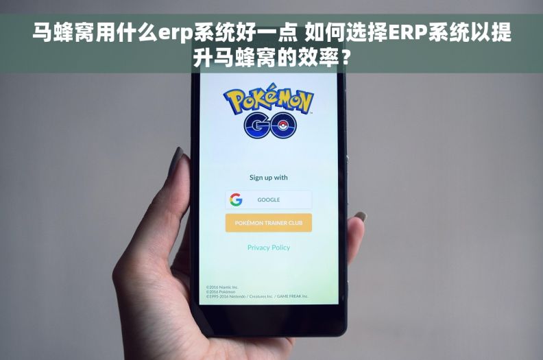 马蜂窝用什么erp系统好一点 如何选择ERP系统以提升马蜂窝的效率？