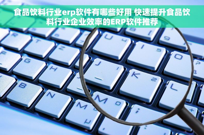 食品饮料行业erp软件有哪些好用 快速提升食品饮料行业企业效率的ERP软件推荐