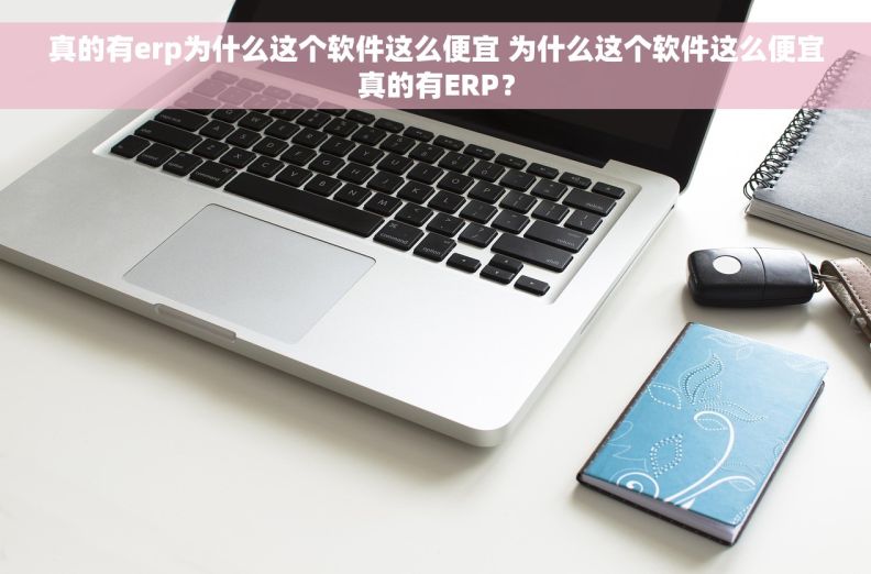 真的有erp为什么这个软件这么便宜 为什么这个软件这么便宜真的有ERP？