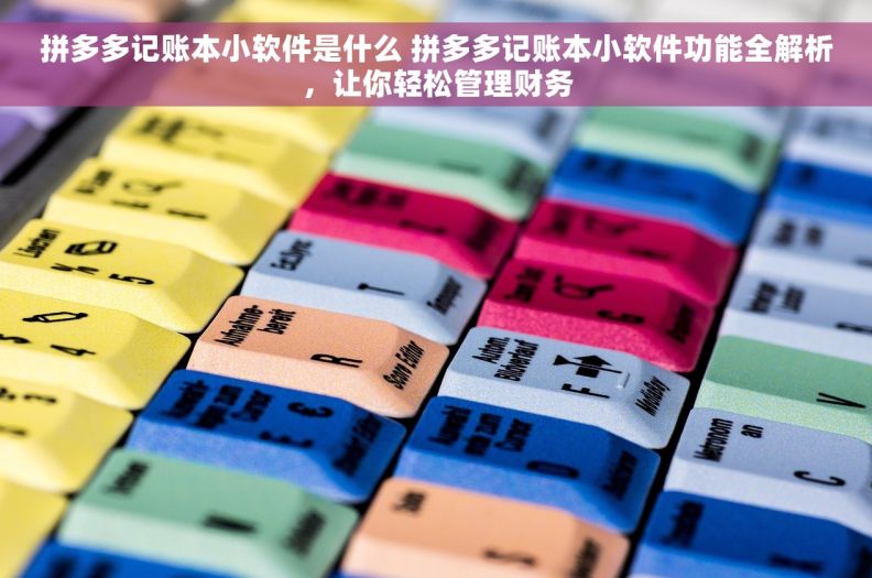 拼多多记账本小软件是什么 拼多多记账本小软件功能全解析，让你轻松管理财务