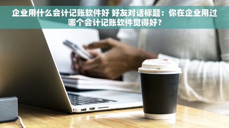 企业用什么会计记账软件好 好友对话标题：你在企业用过哪个会计记账软件觉得好？