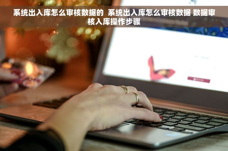 系统出入库怎么审核数据的  系统出入库怎么审核数据 数据审核入库操作步骤