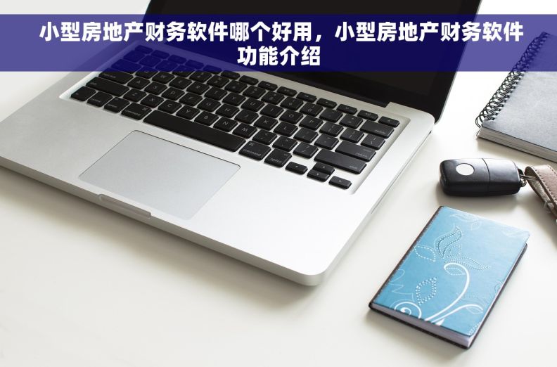  小型房地产财务软件哪个好用，小型房地产财务软件功能介绍