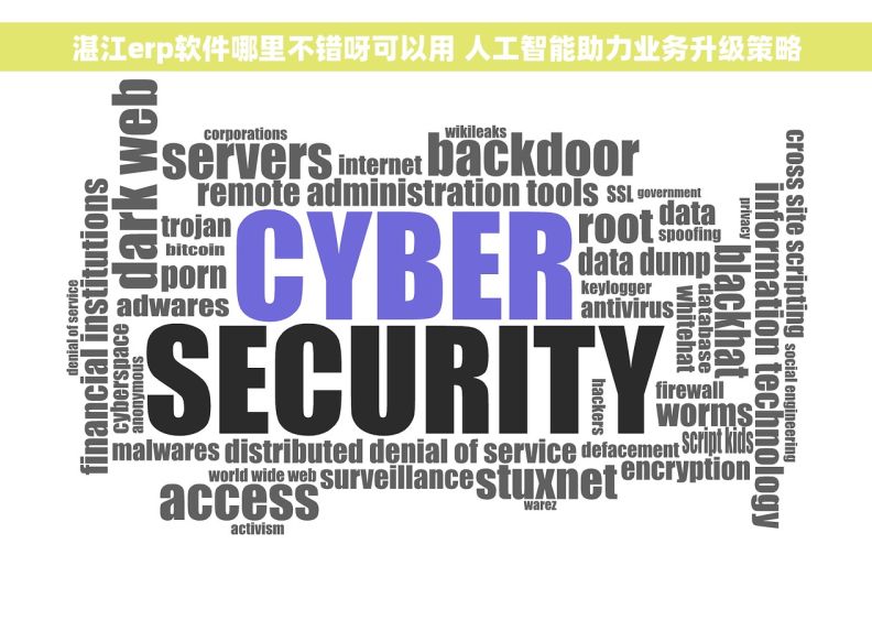 湛江erp软件哪里不错呀可以用 人工智能助力业务升级策略