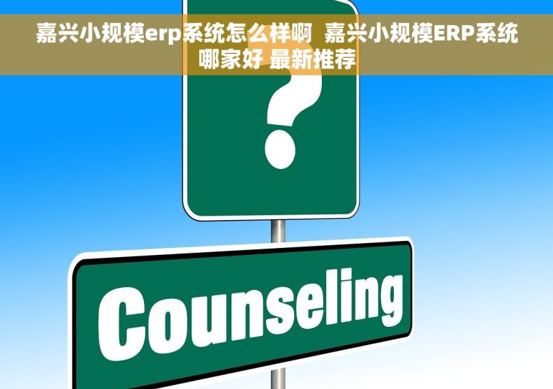 嘉兴小规模erp系统怎么样啊  嘉兴小规模ERP系统哪家好 最新推荐