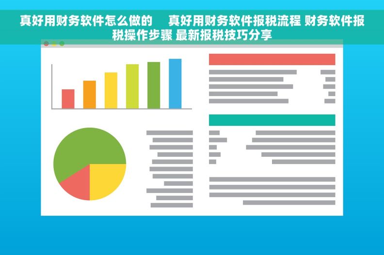 真好用财务软件怎么做的     真好用财务软件报税流程 财务软件报税操作步骤 最新报税技巧分享