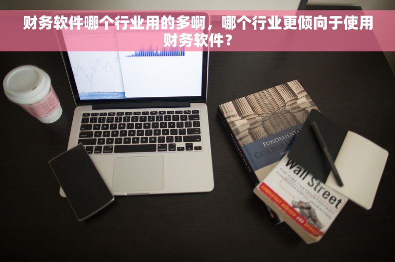 财务软件哪个行业用的多啊，哪个行业更倾向于使用财务软件？