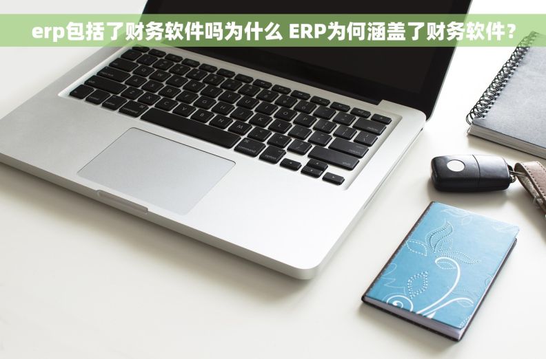 erp包括了财务软件吗为什么 ERP为何涵盖了财务软件？