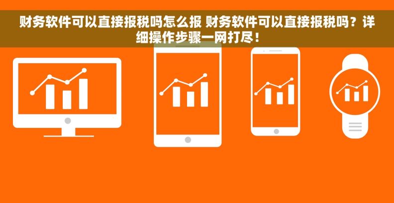 财务软件可以直接报税吗怎么报 财务软件可以直接报税吗？详细操作步骤一网打尽！