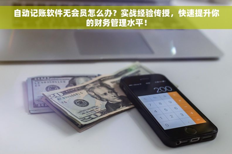 自动记账软件无会员怎么办？实战经验传授，快速提升你的财务管理水平！