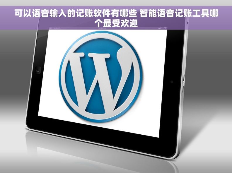 可以语音输入的记账软件有哪些 智能语音记账工具哪个最受欢迎
