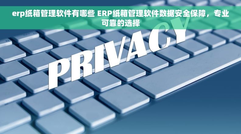 erp纸箱管理软件有哪些 ERP纸箱管理软件数据安全保障，专业可靠的选择