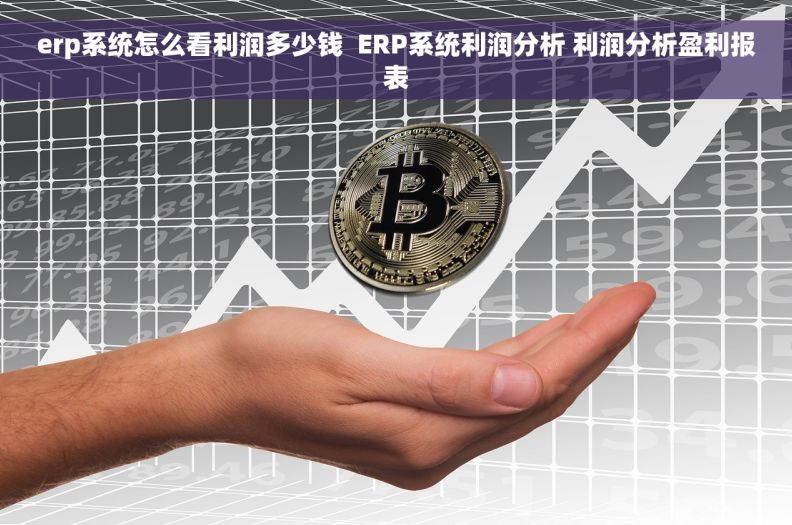 erp系统怎么看利润多少钱  ERP系统利润分析 利润分析盈利报表