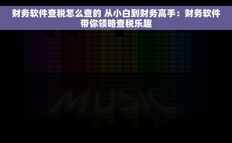 财务软件查税怎么查的 从小白到财务高手：财务软件带你领略查税乐趣