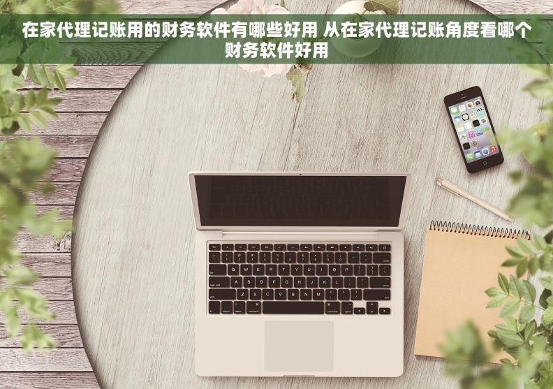 在家代理记账用的财务软件有哪些好用 从在家代理记账角度看哪个财务软件好用