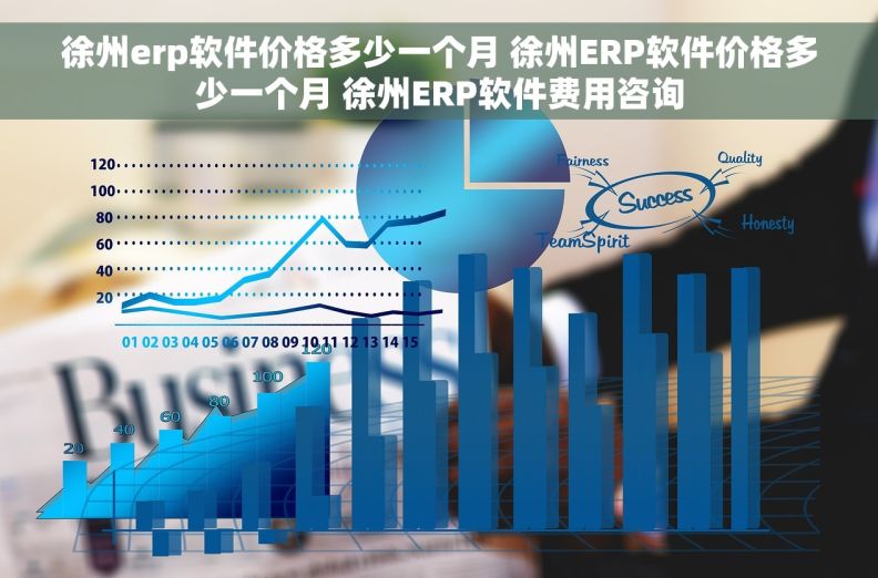 徐州erp软件价格多少一个月 徐州ERP软件价格多少一个月 徐州ERP软件费用咨询