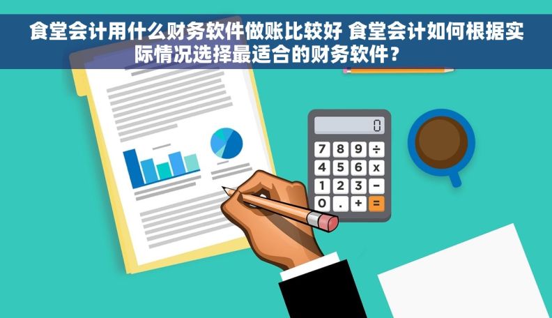 食堂会计用什么财务软件做账比较好 食堂会计如何根据实际情况选择最适合的财务软件？  