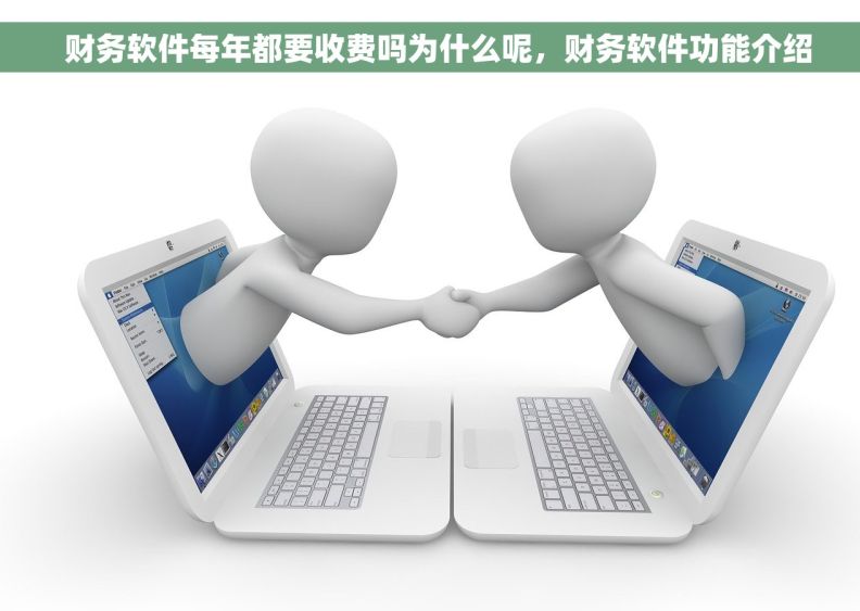   财务软件每年都要收费吗为什么呢，财务软件功能介绍