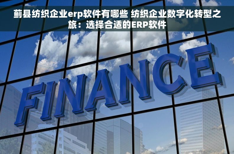 蓟县纺织企业erp软件有哪些 纺织企业数字化转型之旅：选择合适的ERP软件